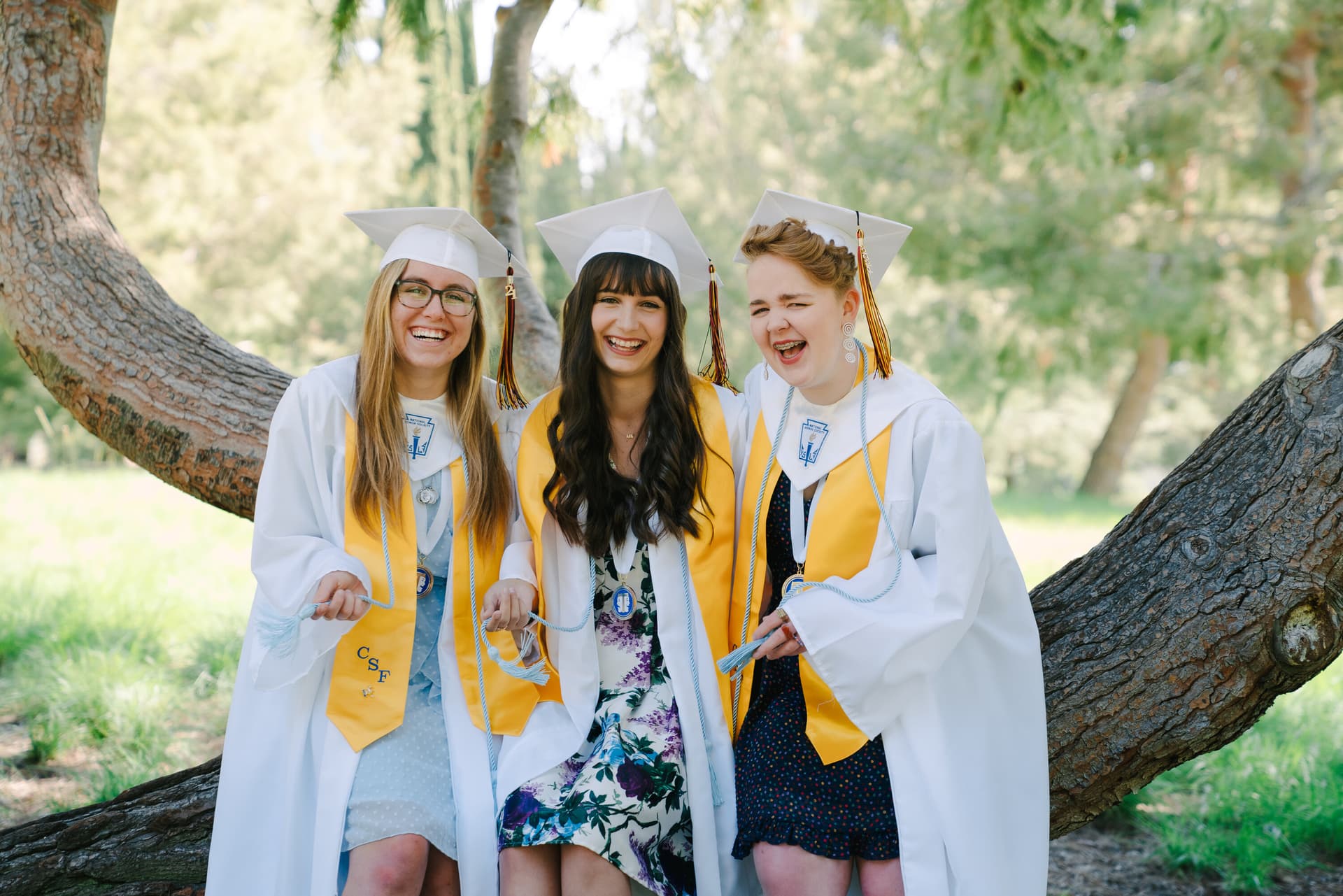 Three graduates smiling together in caps and gowns