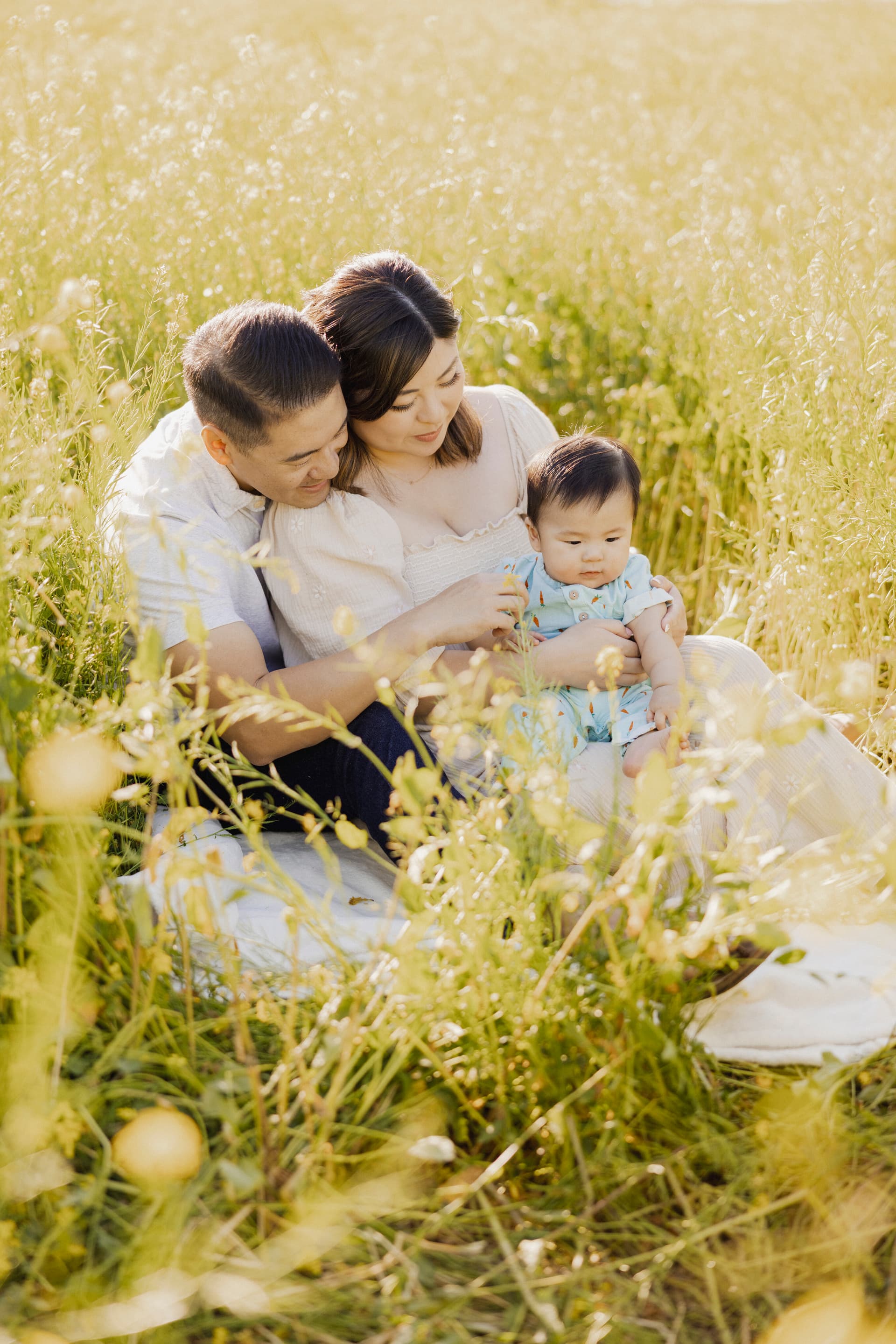 Young family with their baby sitting in a golden wildflower field