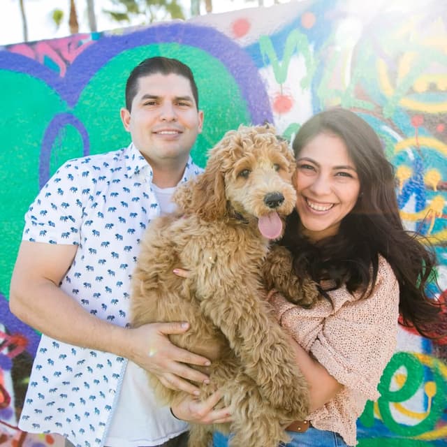 photo taken by a professional photographer during a free photography mini session