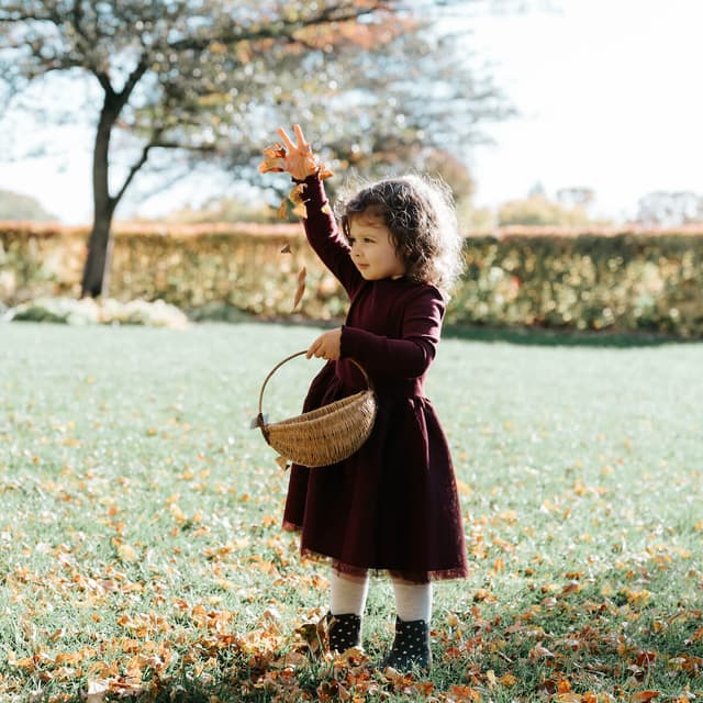 photo taken by a professional photographer during a free photography mini session