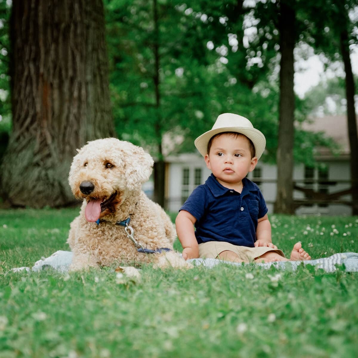 photo taken by a professional photographer during a free photography mini session