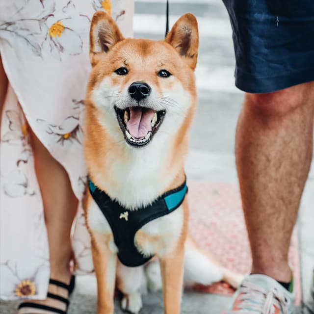 photo taken by a professional photographer during a free photography mini session