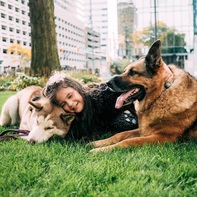 photo taken by a professional photographer during a free photography mini session