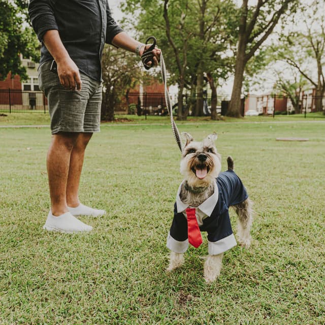 photo taken by a professional photographer during a free photography mini session