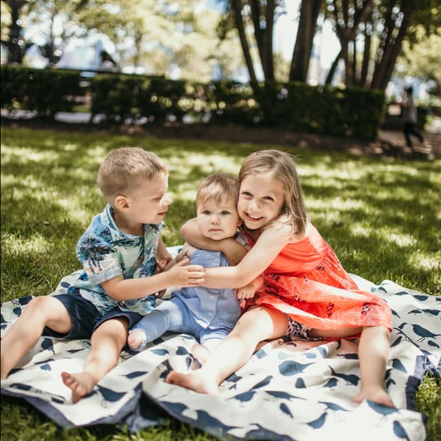 photo taken by a professional photographer during a free photography mini session