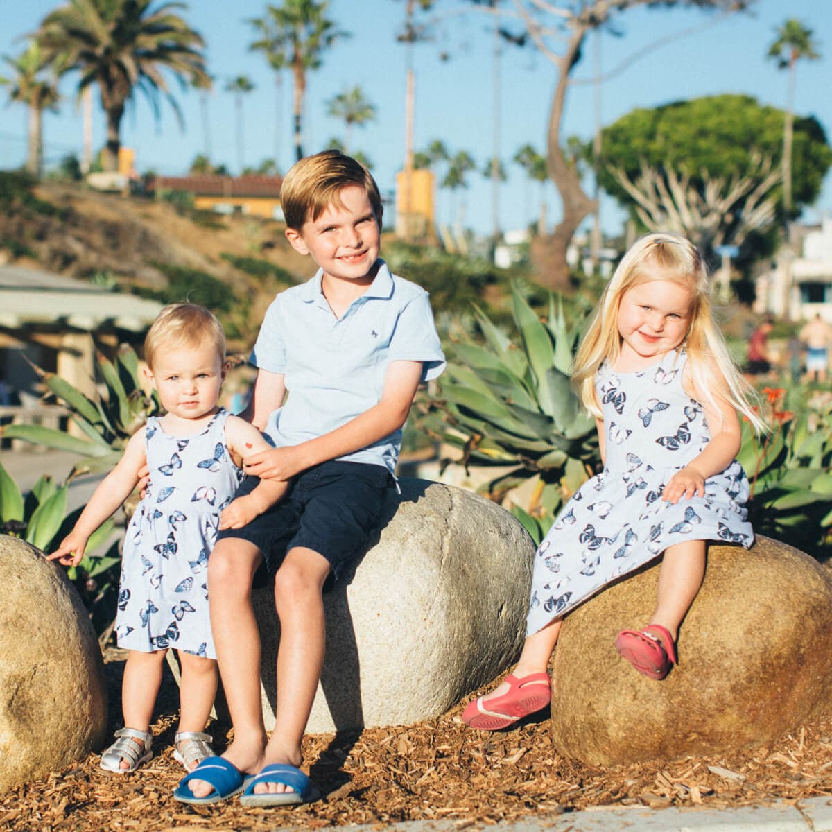 photo taken by a professional photographer during a free photography mini session