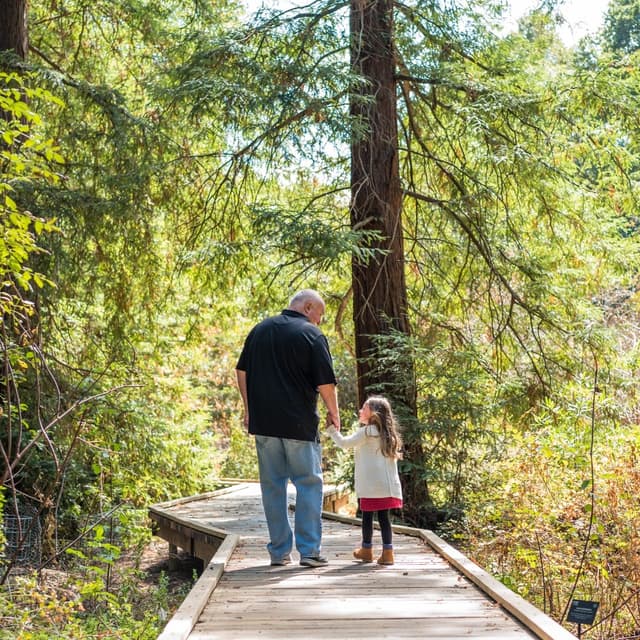 photo taken by a professional photographer during a free photography mini session