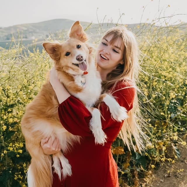 photo taken by a professional photographer during a free photography mini session