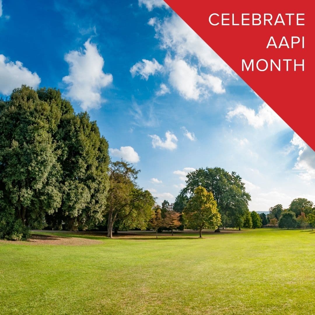 photo taken by a professional photographer during a free photography mini session