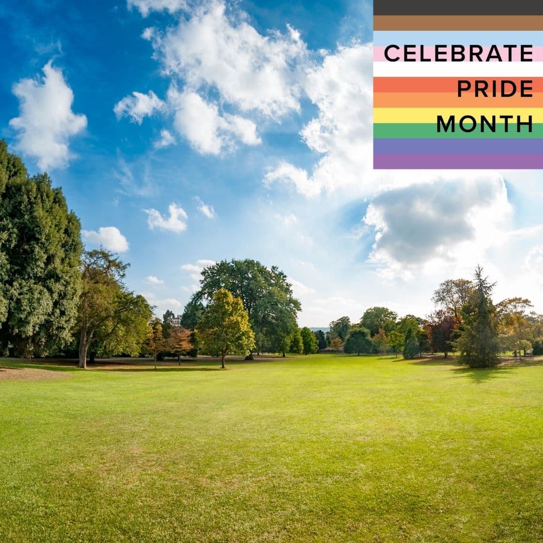 photo taken by a professional photographer during a free photography mini session