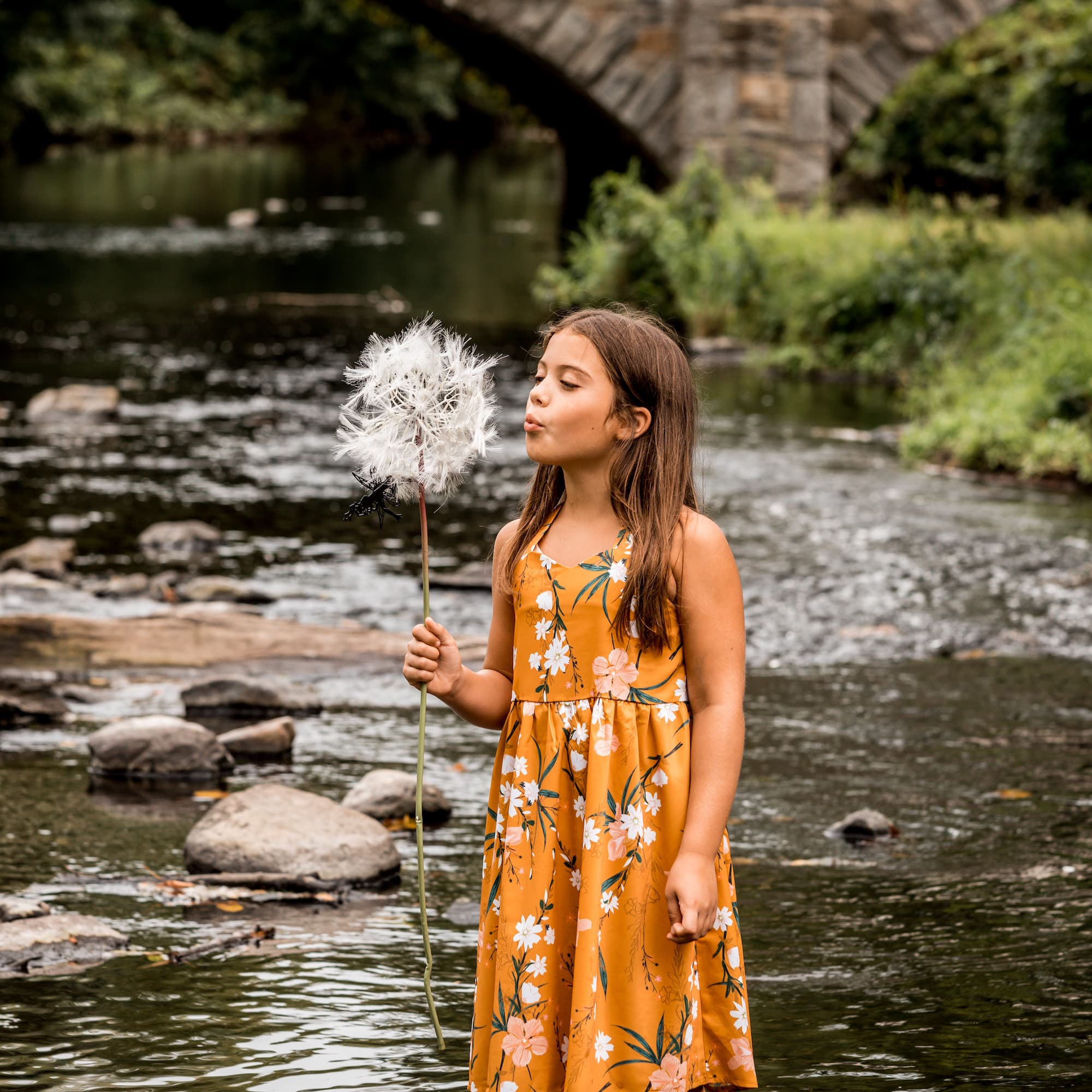 photo taken by a professional photographer during a free photography mini session