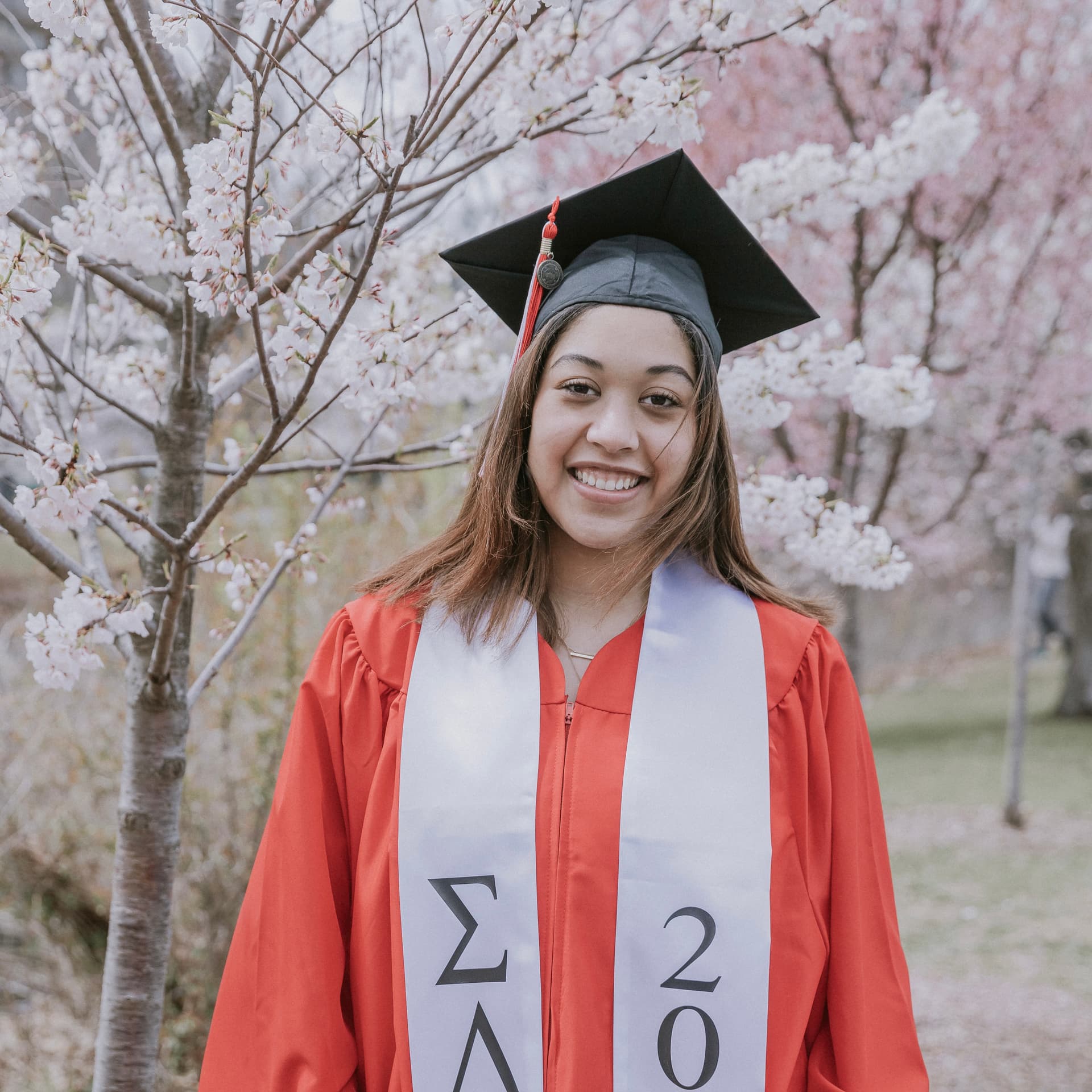 photo taken by a professional photographer during a free photography mini session