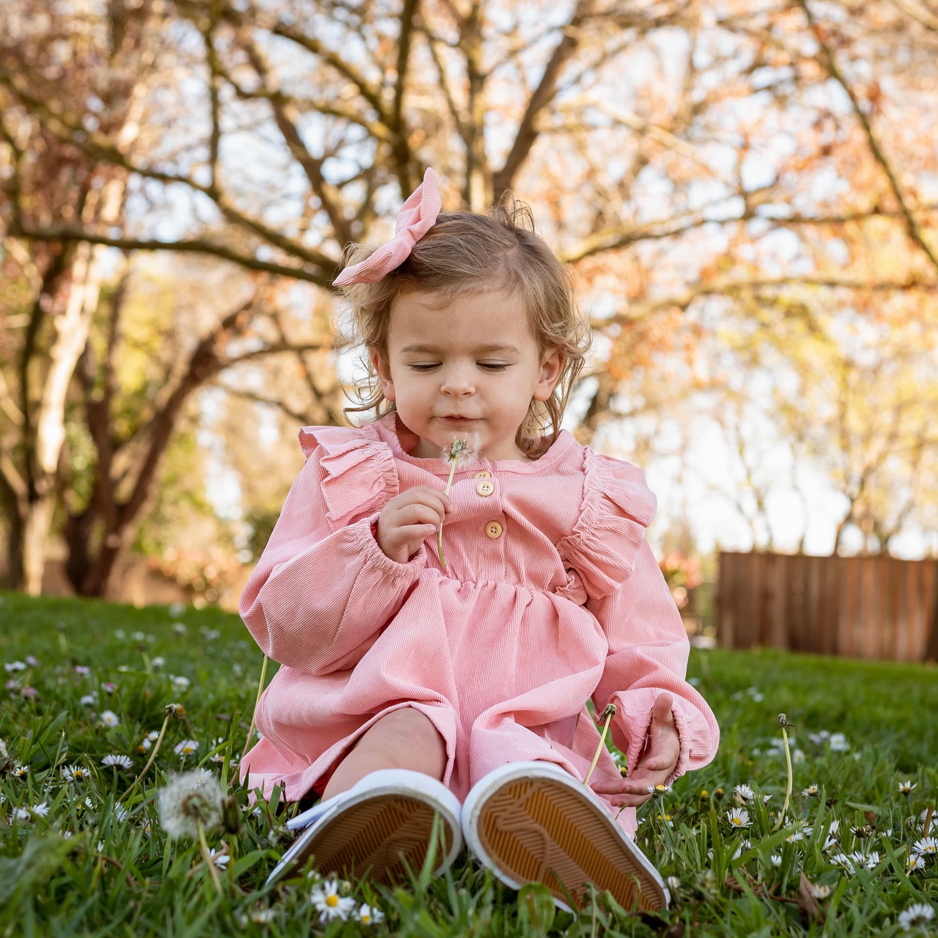 photo taken by a professional photographer during a free photography mini session