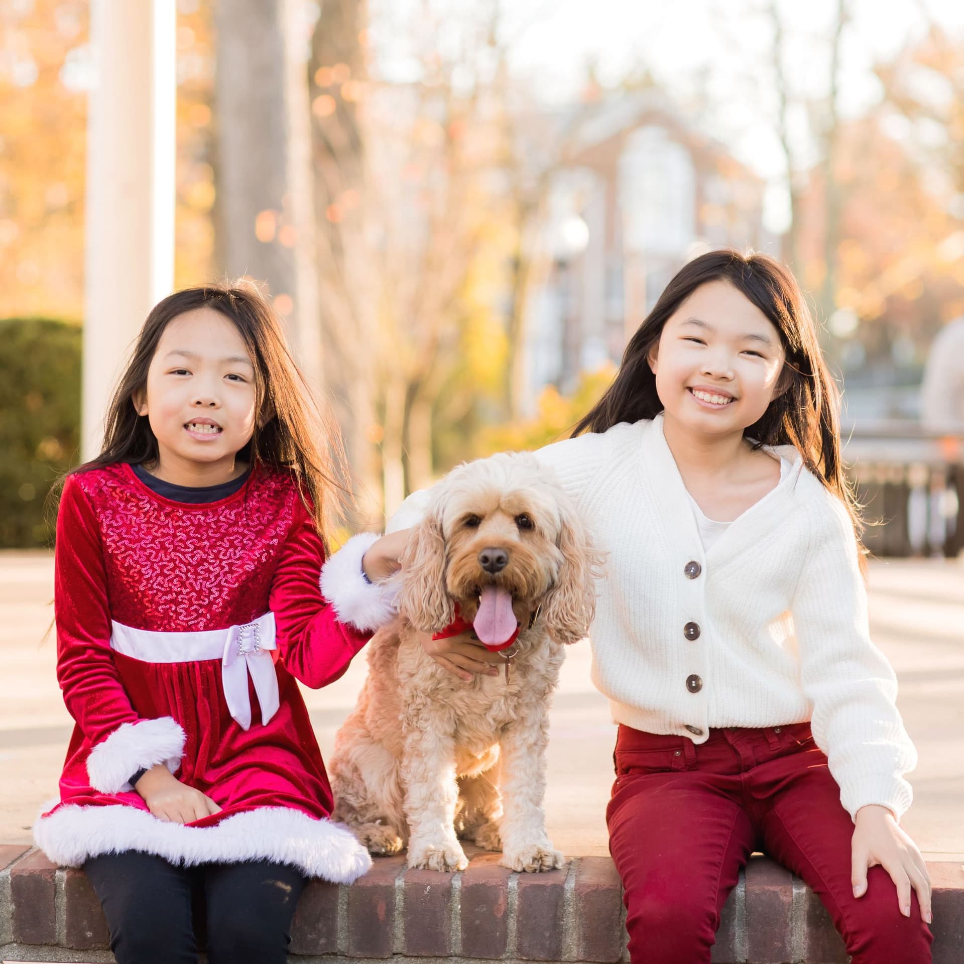 photo taken by a professional photographer during a free photography mini session