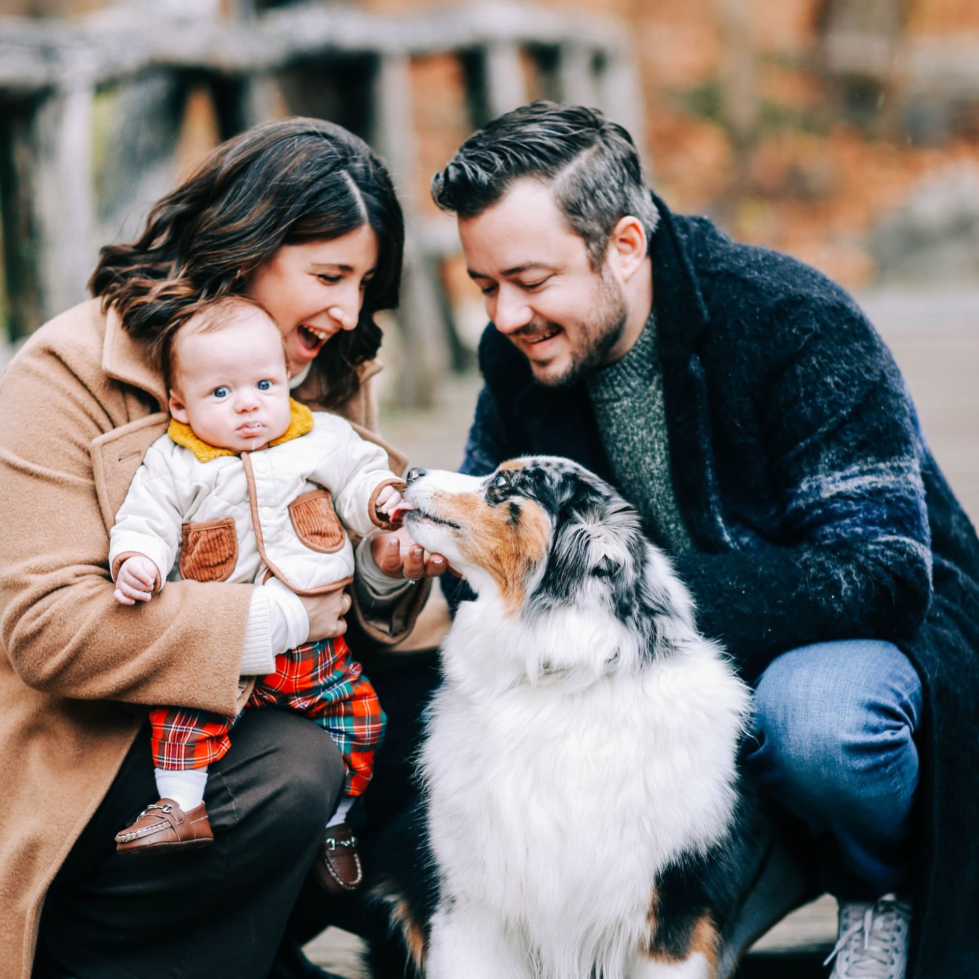 photo taken by a professional photographer during a free photography mini session