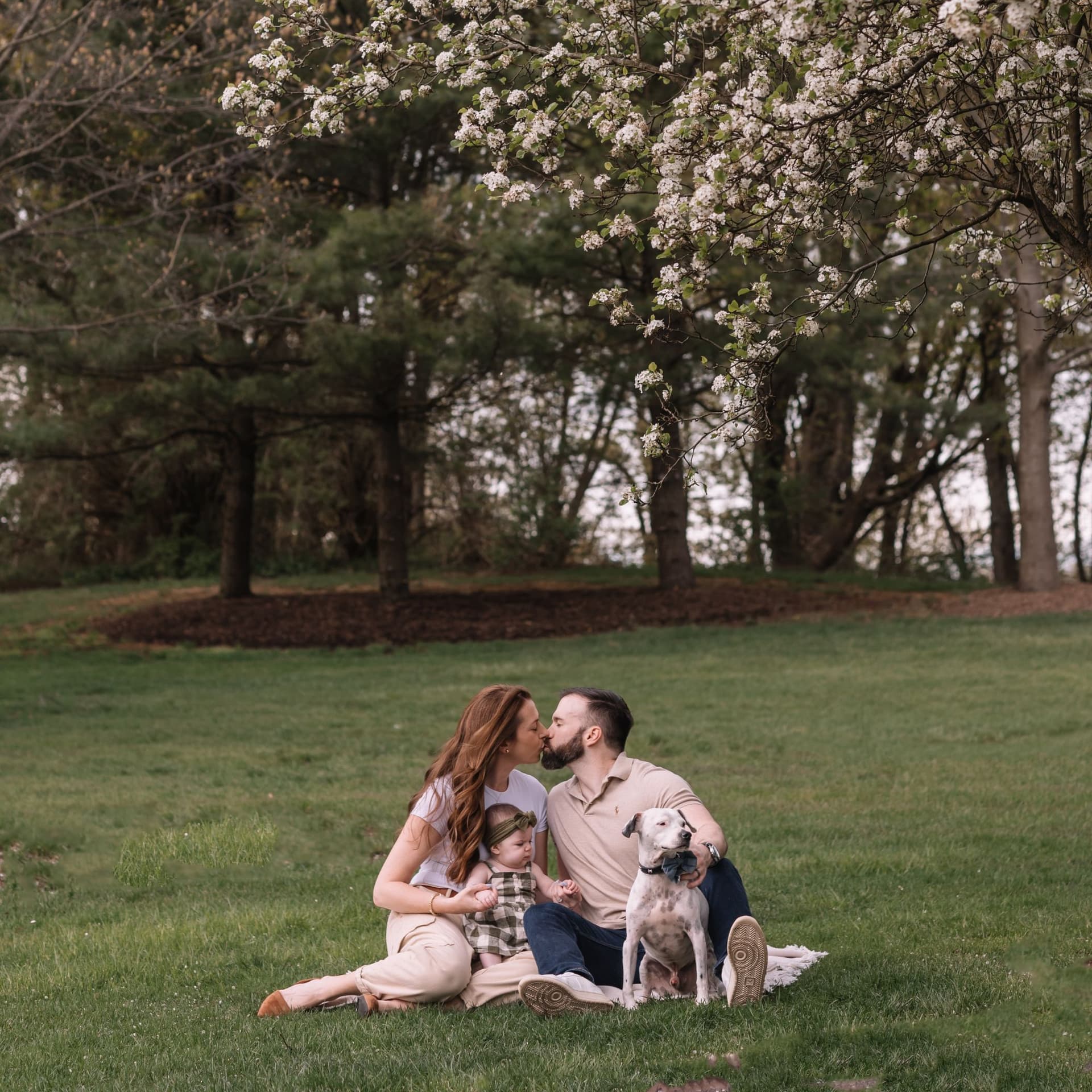 photo taken by a professional photographer during a free photography mini session
