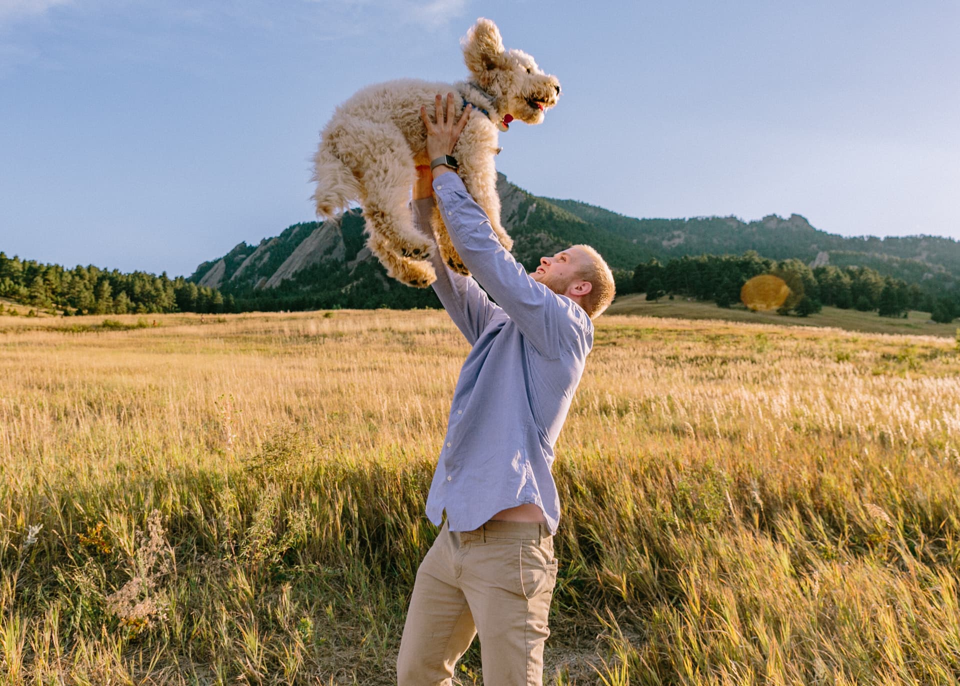 Person lifting a happy dog in an open field