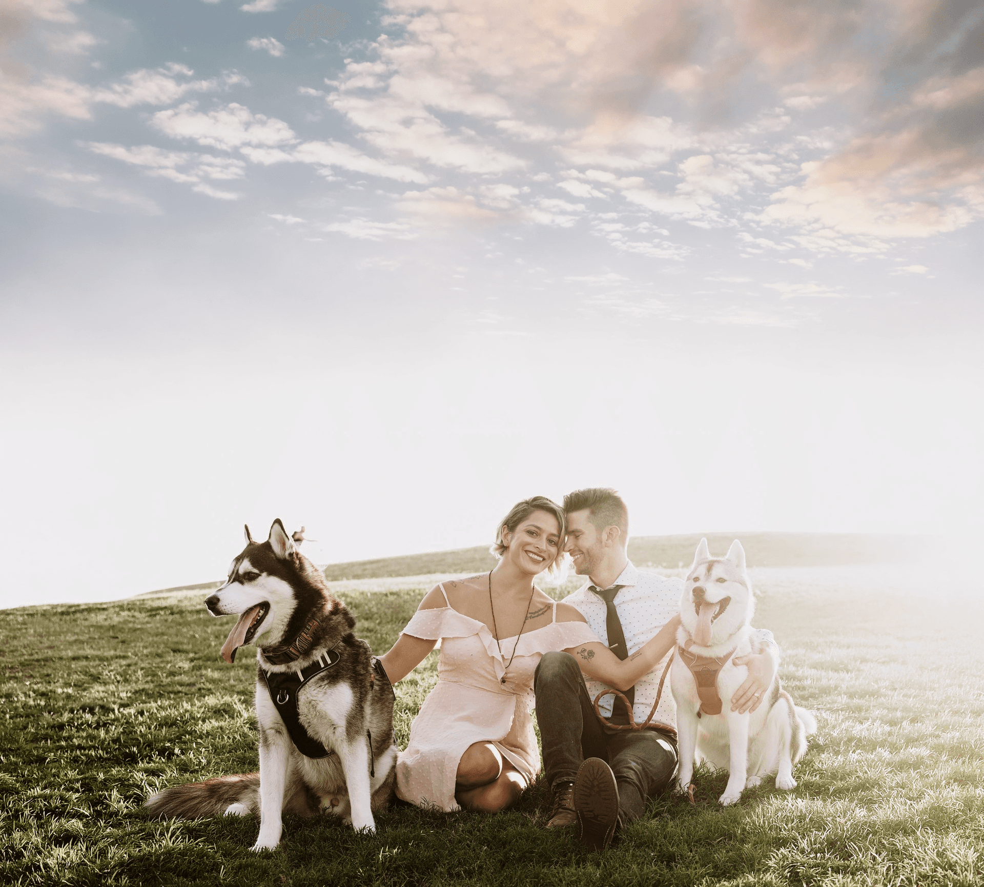 Couple sitting on a hillside meadow at golden hour with two husky dogs