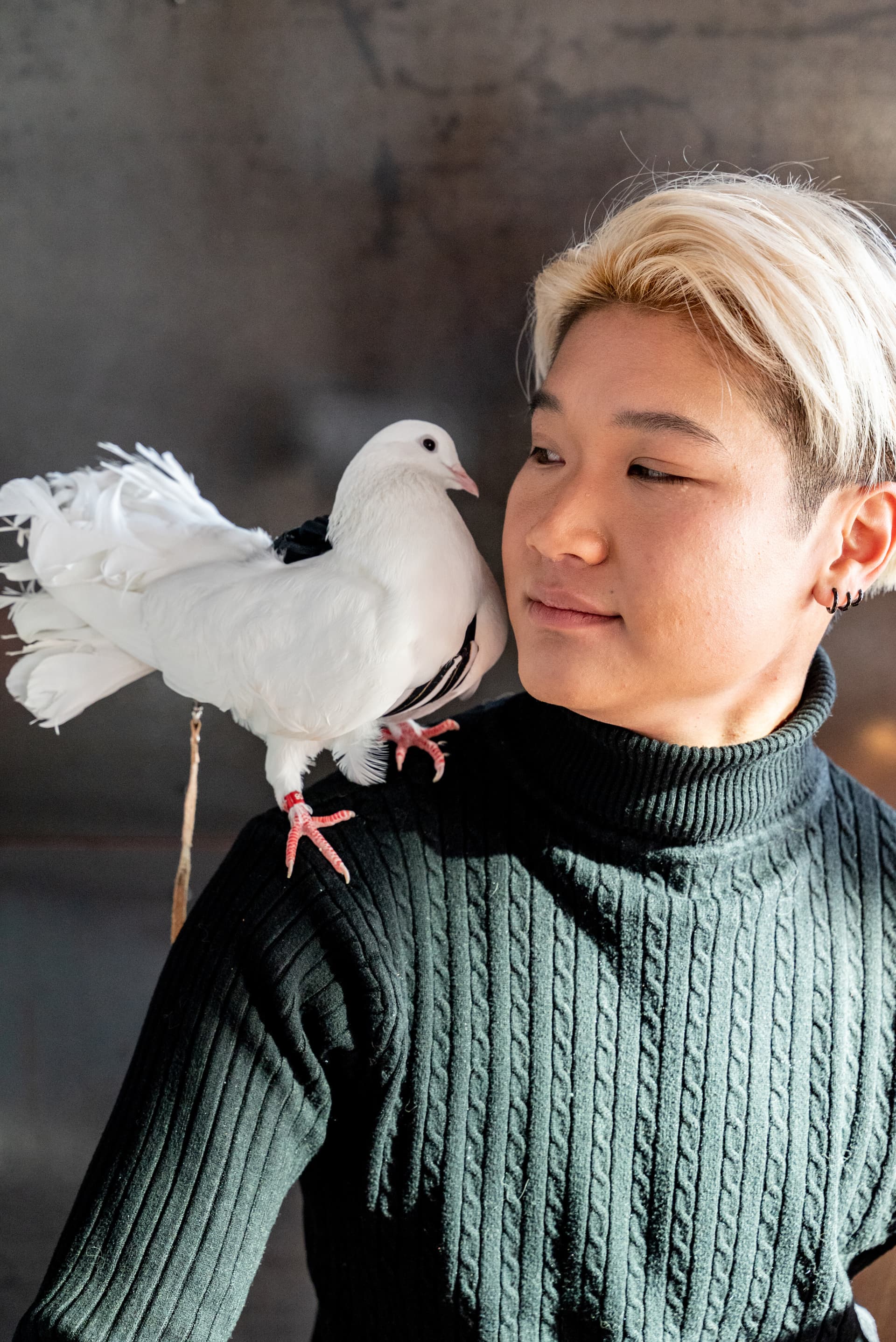 Person with a white dove perched on their shoulder during a pet photoshoot