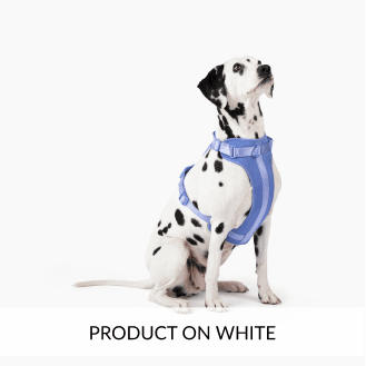 A sample of a product on a white background