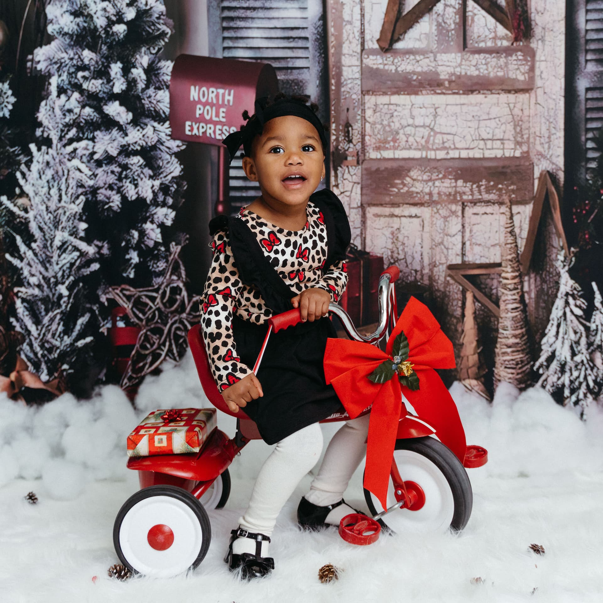 photo taken by a professional photographer during a free photography mini session