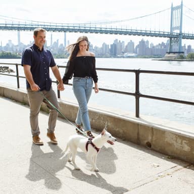 photo taken by a professional photographer during a free photography mini session