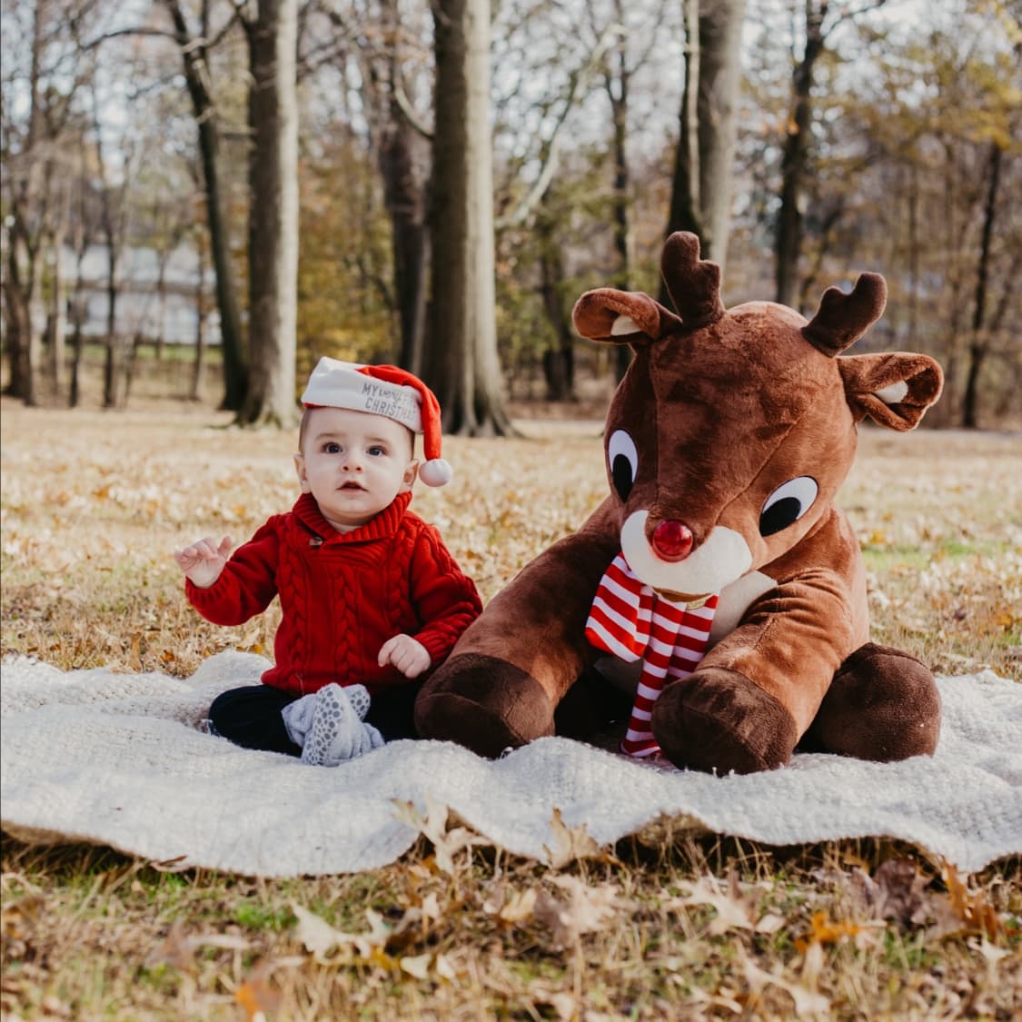 photo taken by a professional photographer during a free photography mini session