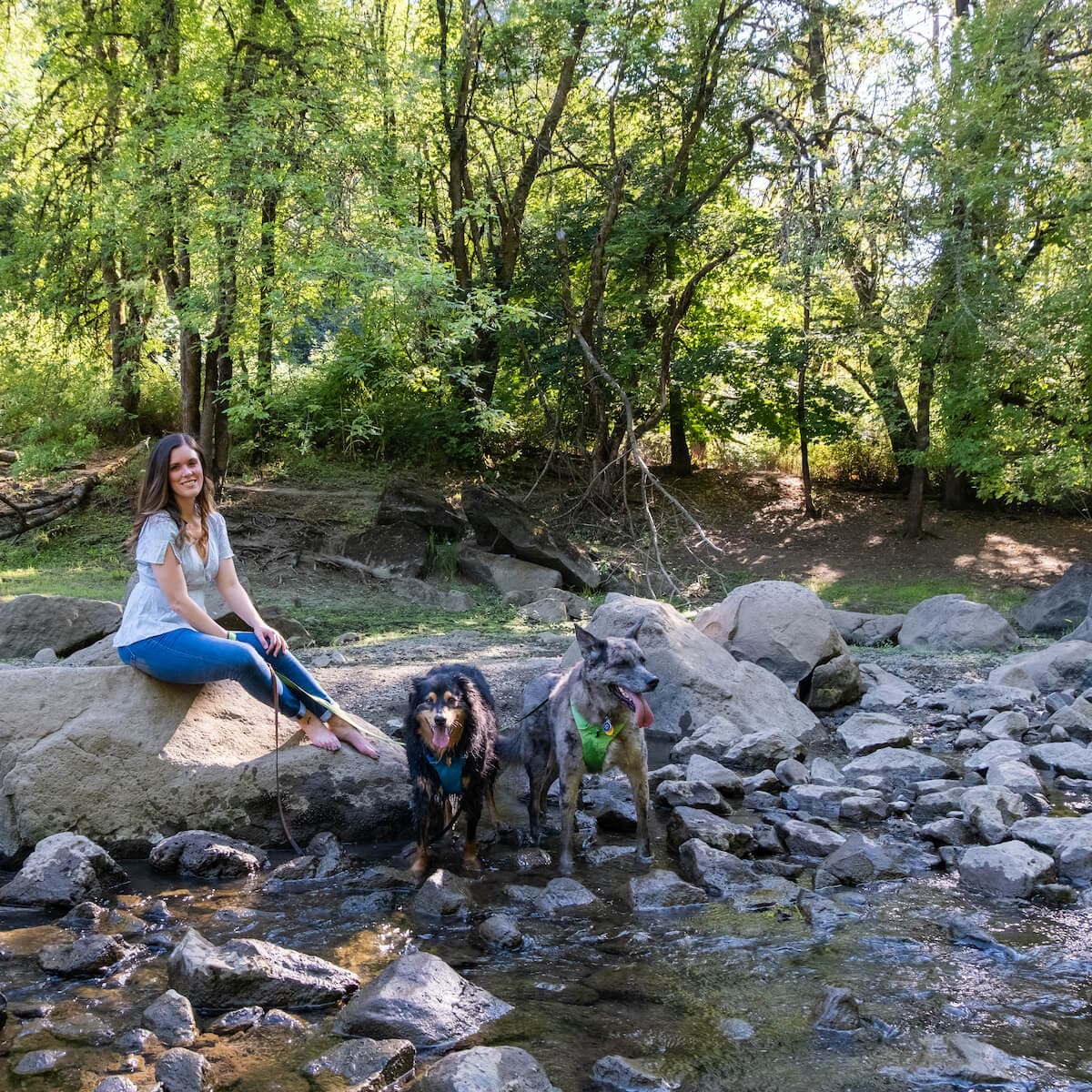 photo taken by a professional photographer during a free photography mini session