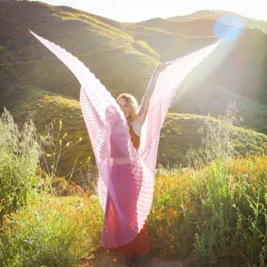 photo taken by a professional photographer during a free photography mini session