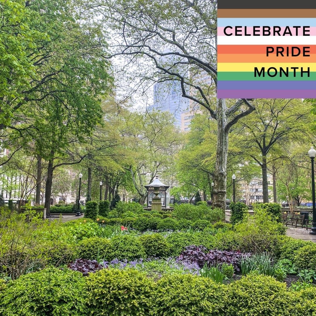 photo taken by a professional photographer during a free photography mini session