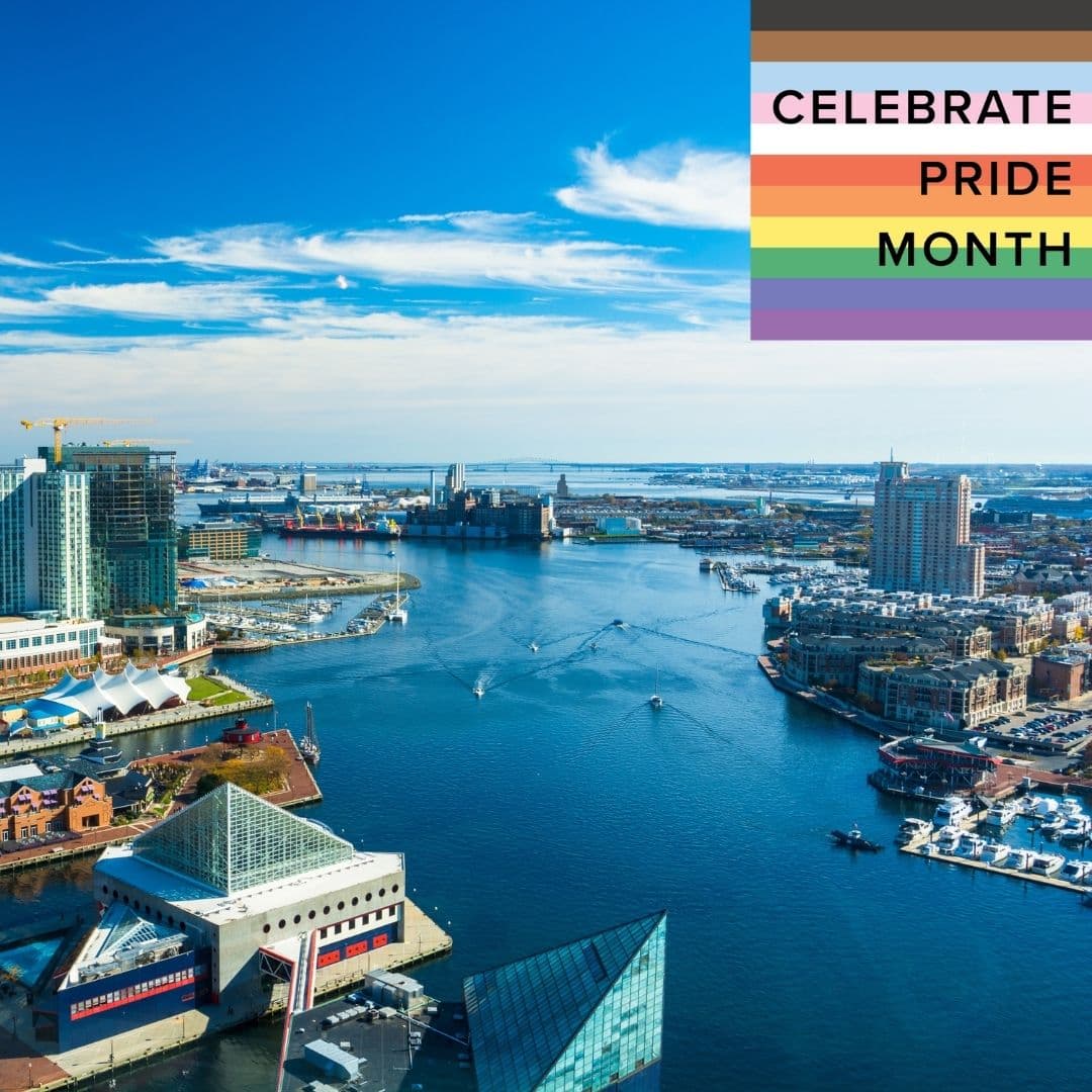 photo taken by a professional photographer during a free photography mini session