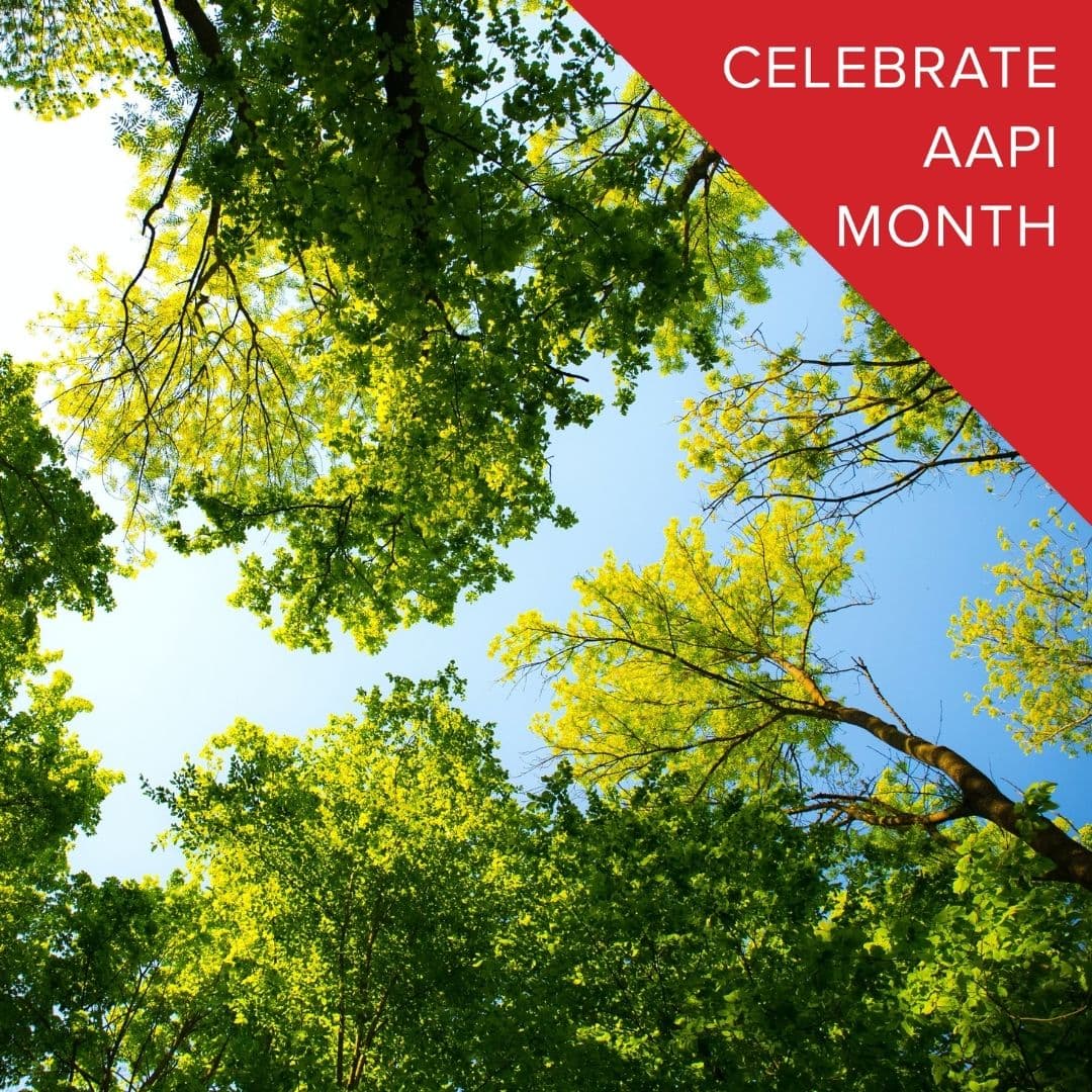 photo taken by a professional photographer during a free photography mini session