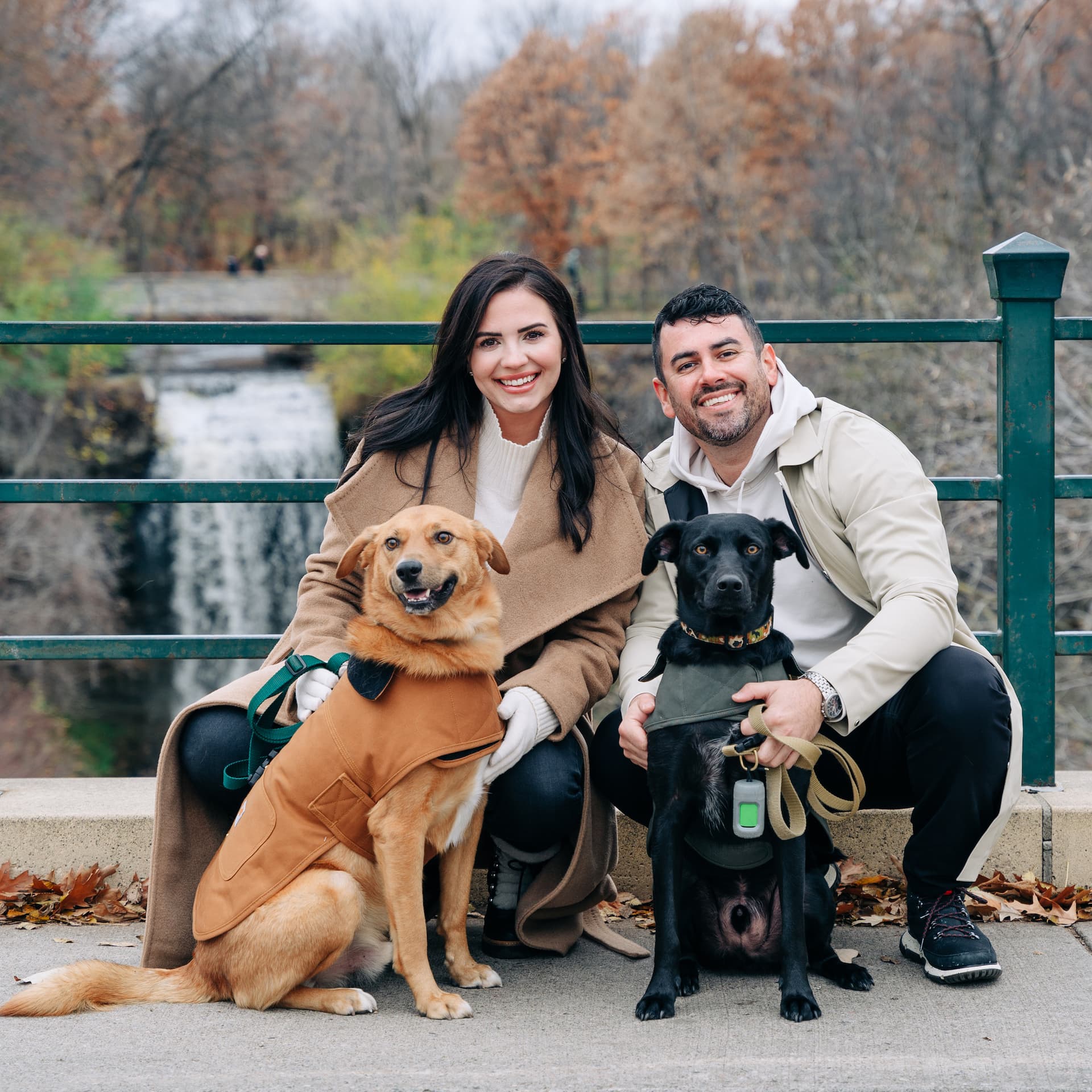 photo taken by a professional photographer during a free photography mini session