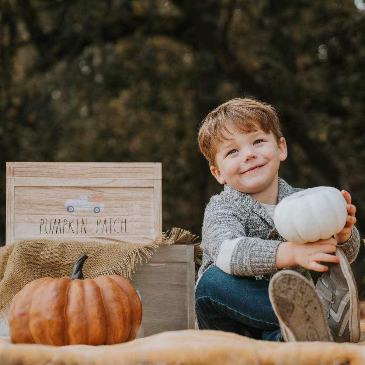 photo taken by a professional photographer during a free photography mini session