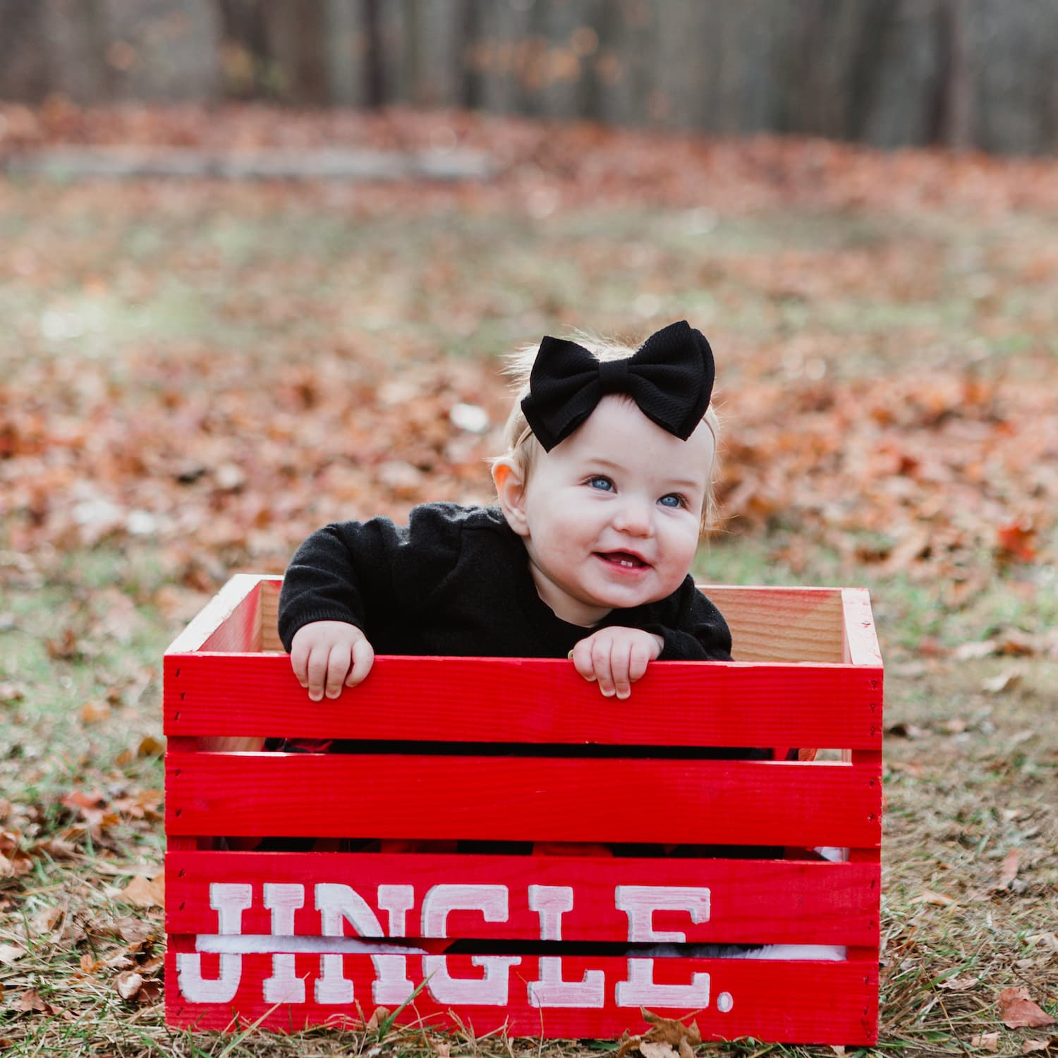 photo taken by a professional photographer during a free photography mini session
