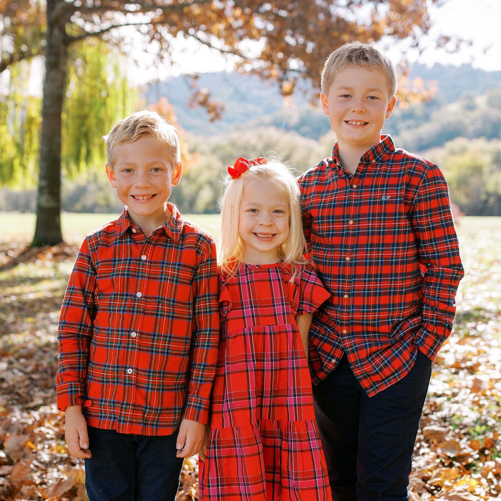 photo taken by a professional photographer during a free photography mini session
