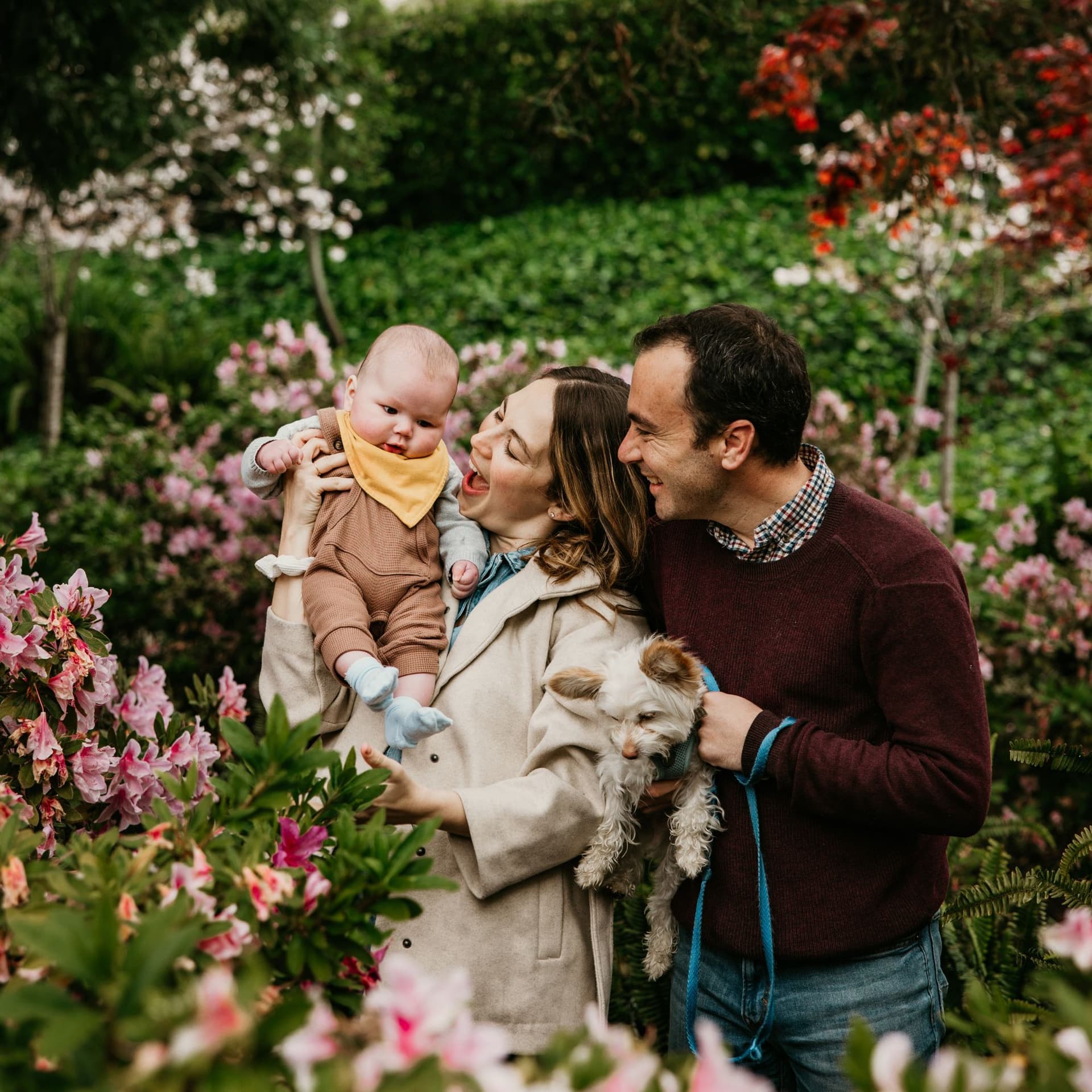 photo taken by a professional photographer during a free photography mini session