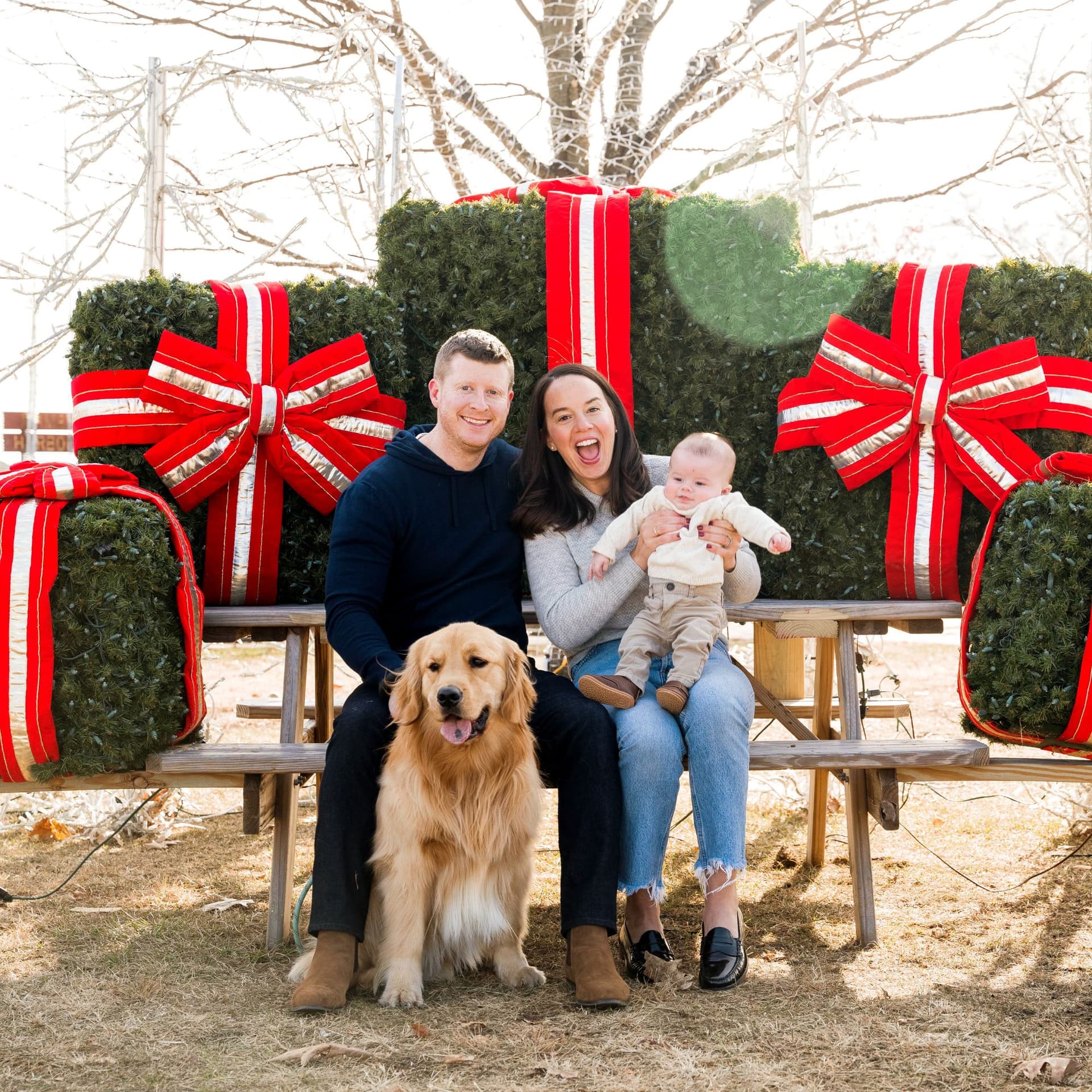 photo taken by a professional photographer during a free photography mini session