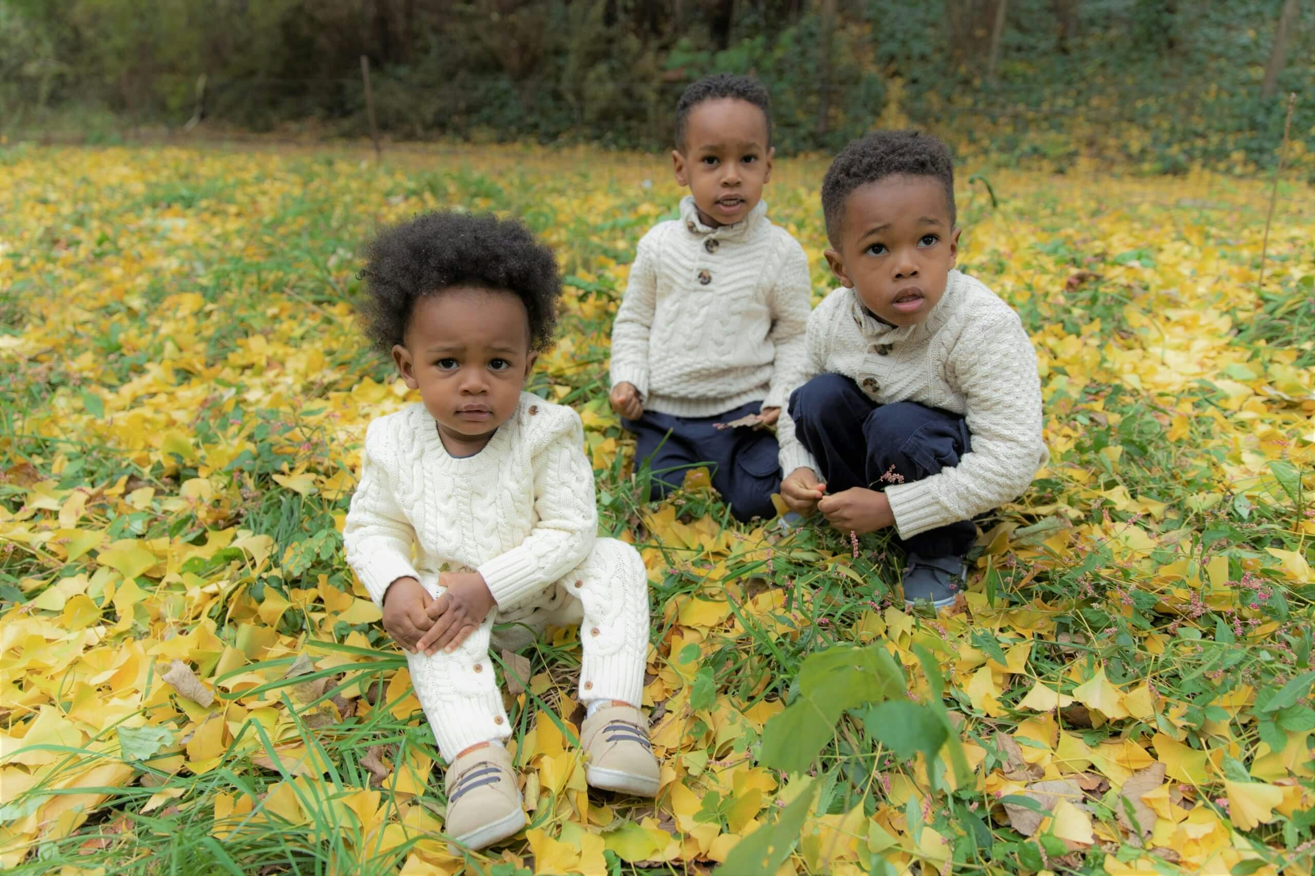 Three young children sitting in a field of yellow leaves