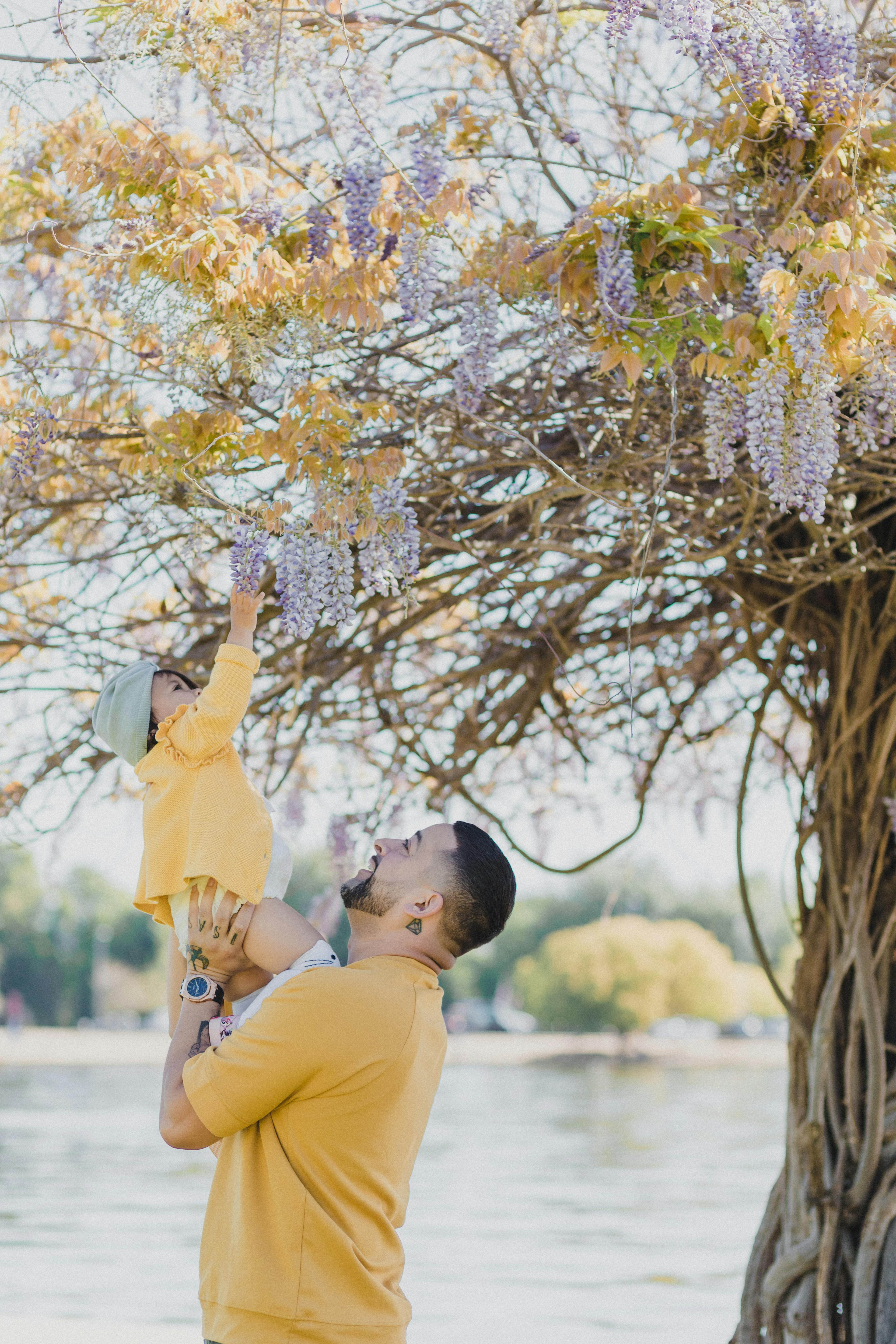 A father lifts his child towards a blossoming tree branch.