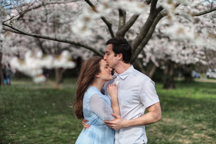 Couple kissing under cherry blossom trees