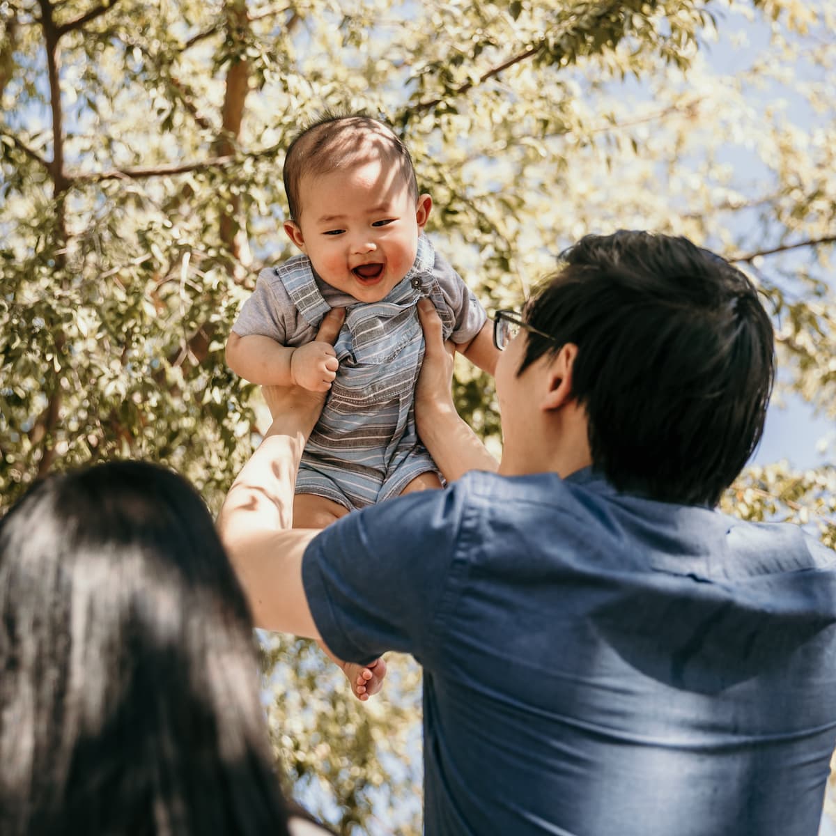 A joyful baby being lifted in the air by their father under a tree as the mother watches.