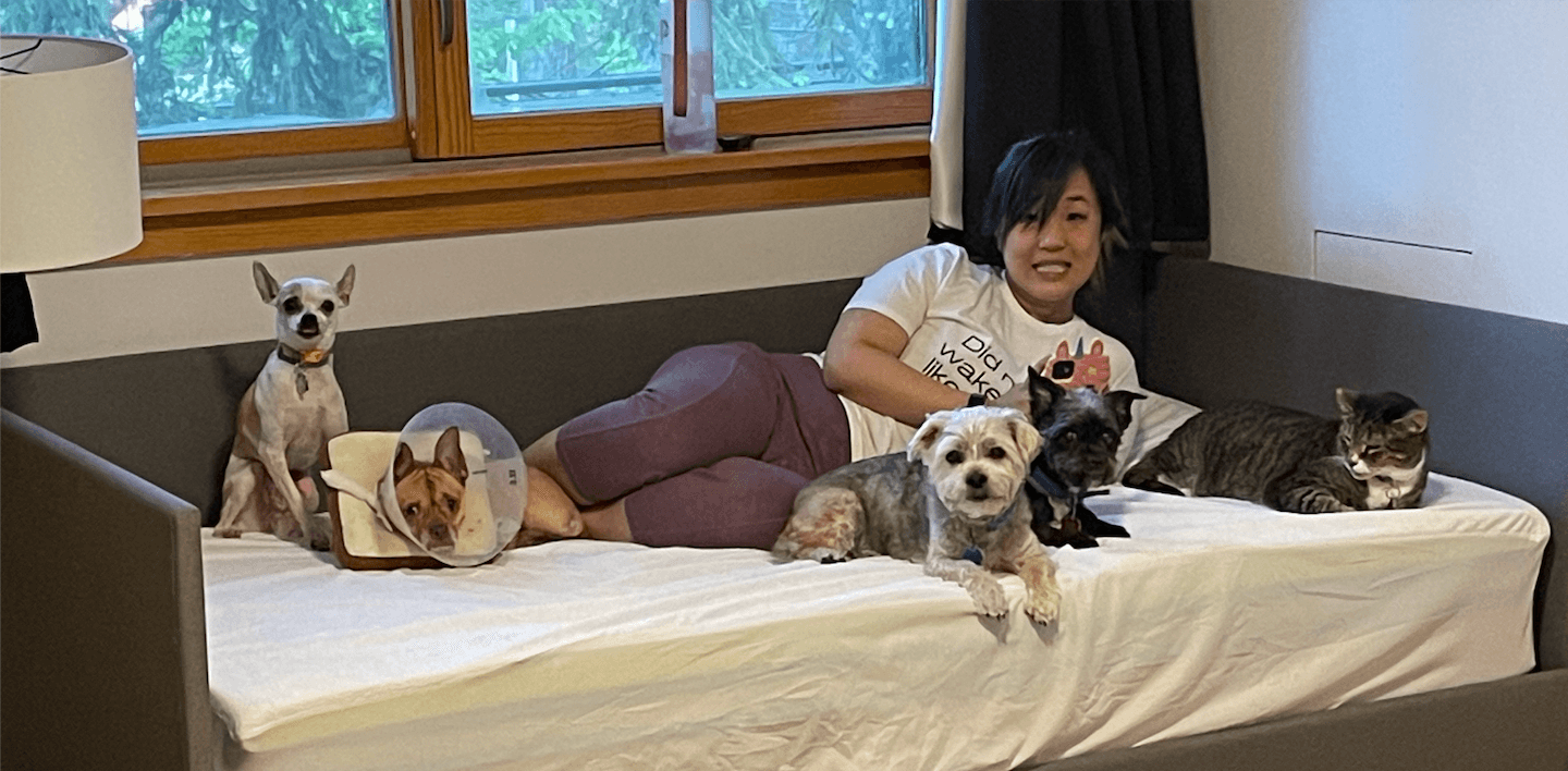 A person sitting on a couch with four pets, including two dogs wearing cones and one cat.