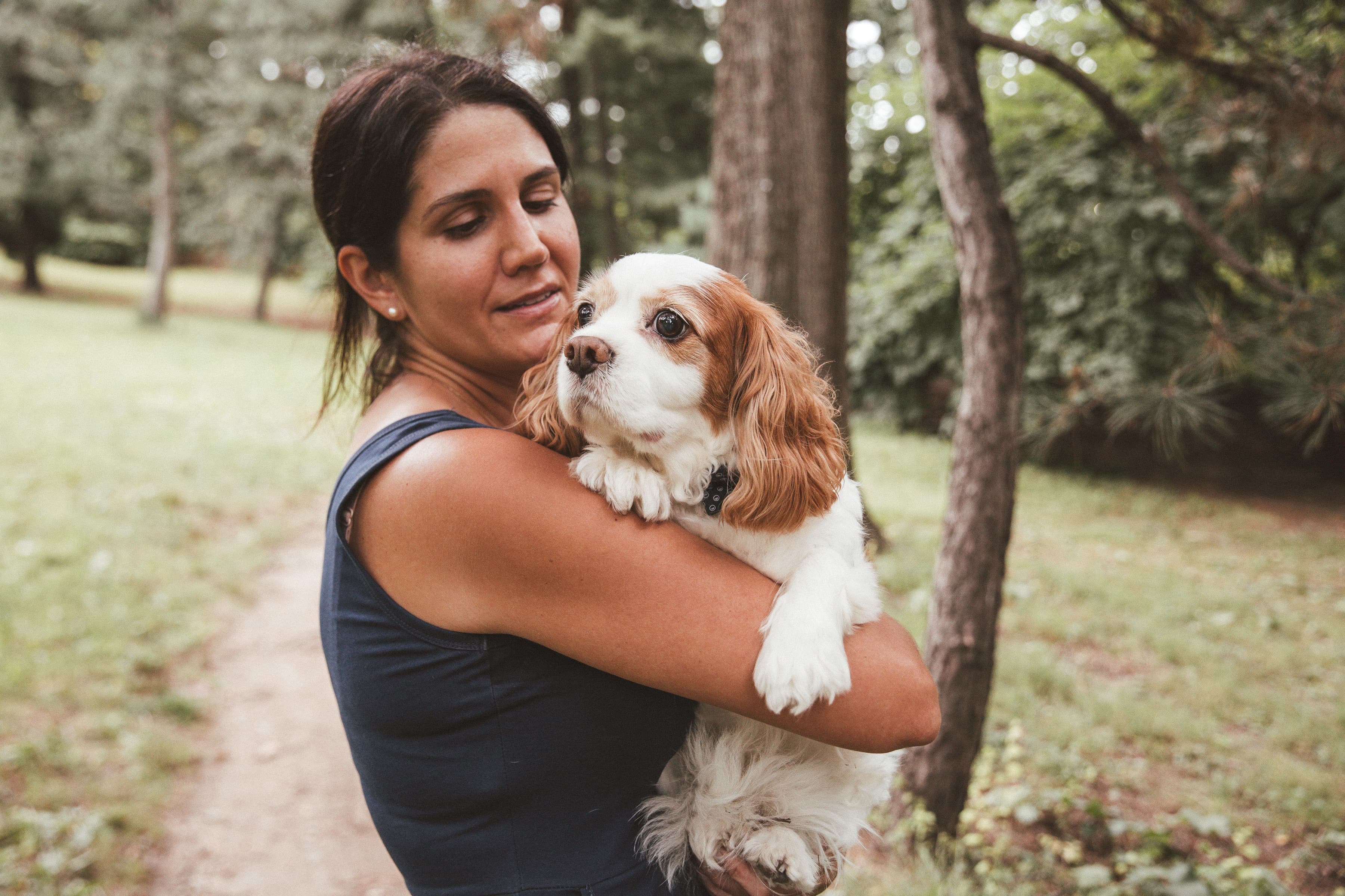 Woman holding a Cavalier King Charles Spaniel in a park.